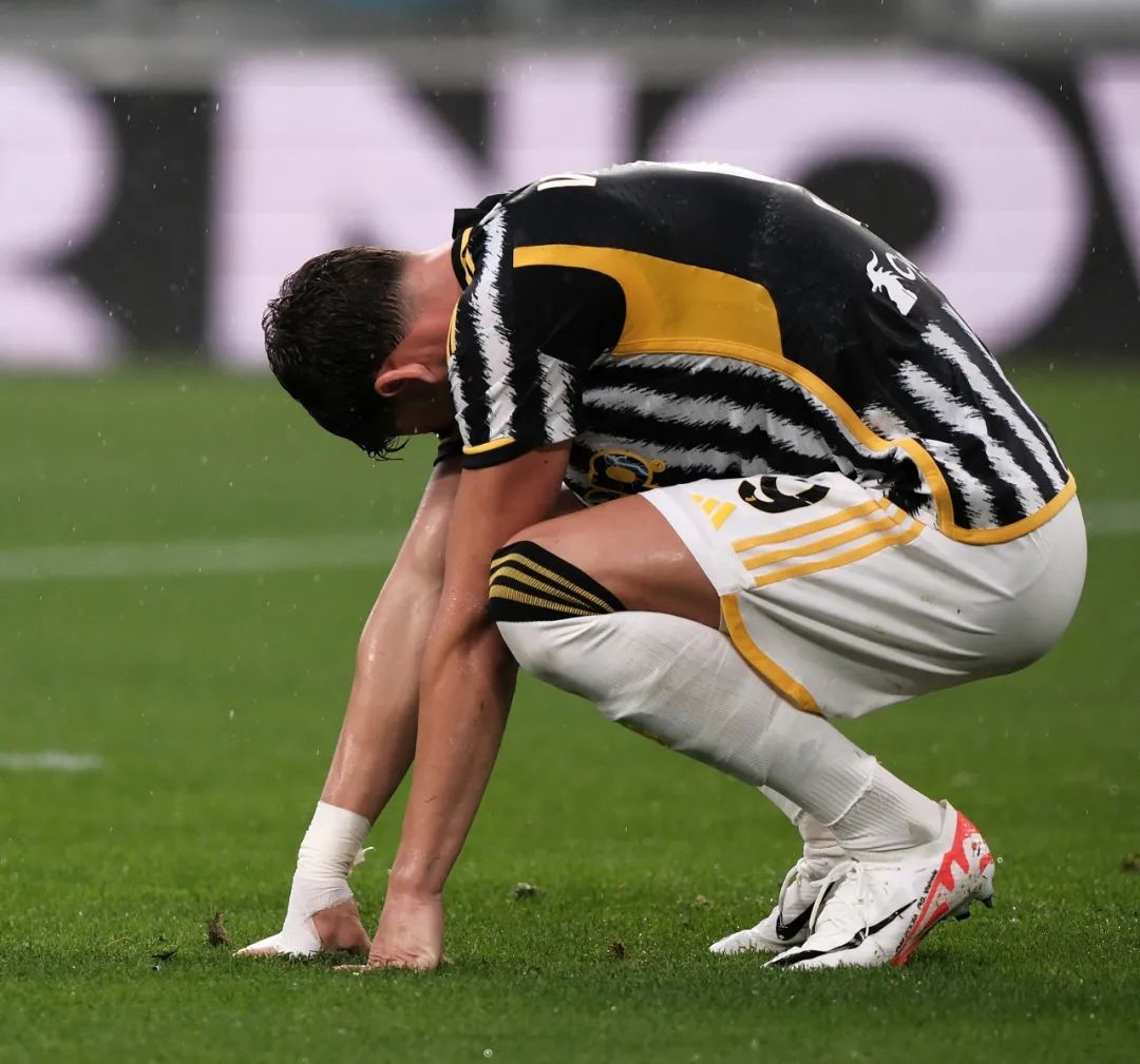 不仅彰显了 不仅彰显了