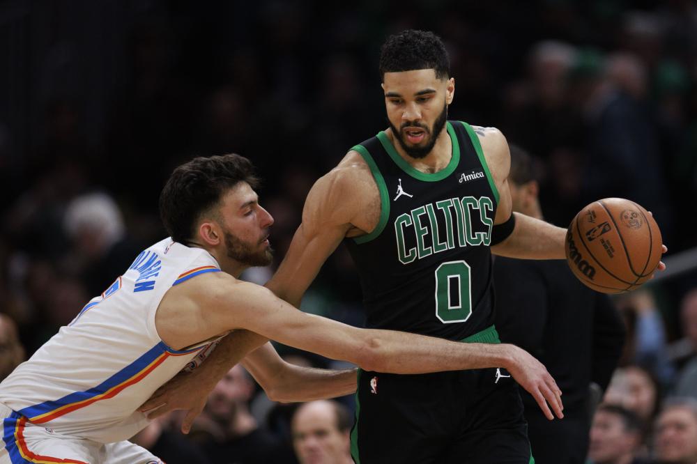 园巡游者目 园巡游者目